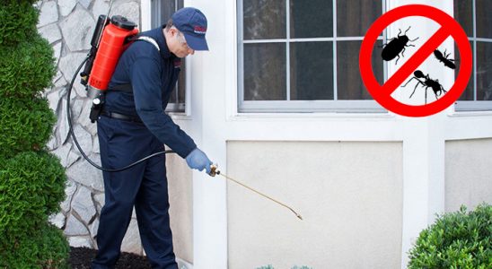 Tut Dezenfeksiyon böcek ilaçlama ve haşere kontrolü — ilaclama-tr.com